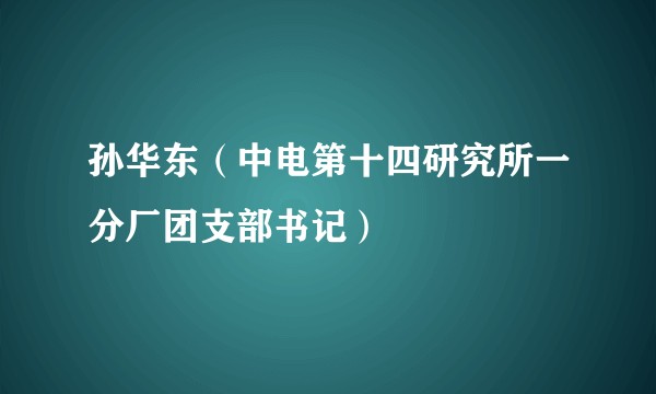 孙华东（中电第十四研究所一分厂团支部书记）