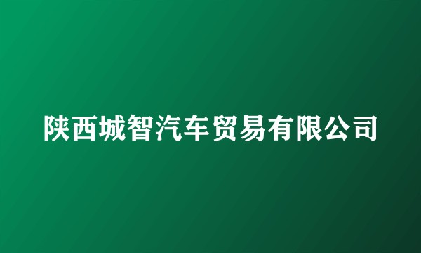 陕西城智汽车贸易有限公司