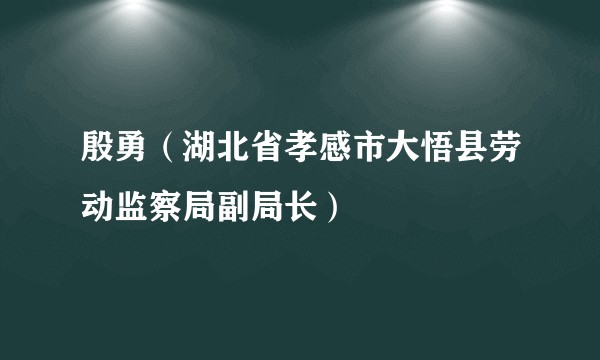 殷勇（湖北省孝感市大悟县劳动监察局副局长）