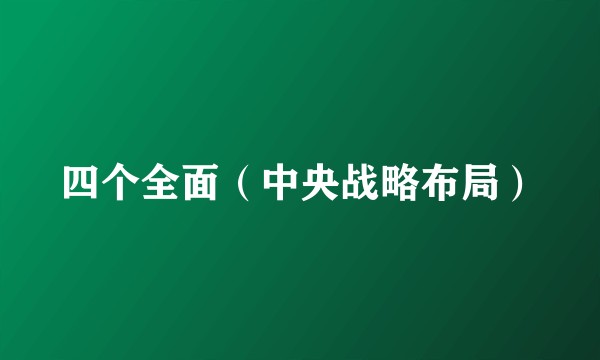 四个全面（中央战略布局）