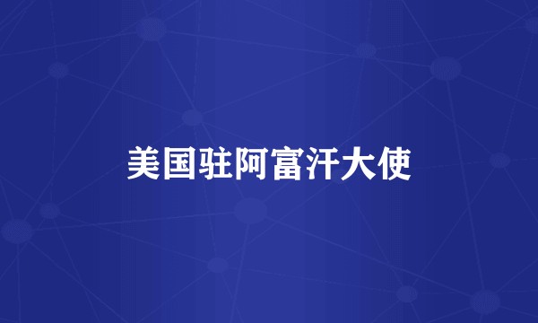 美国驻阿富汗大使