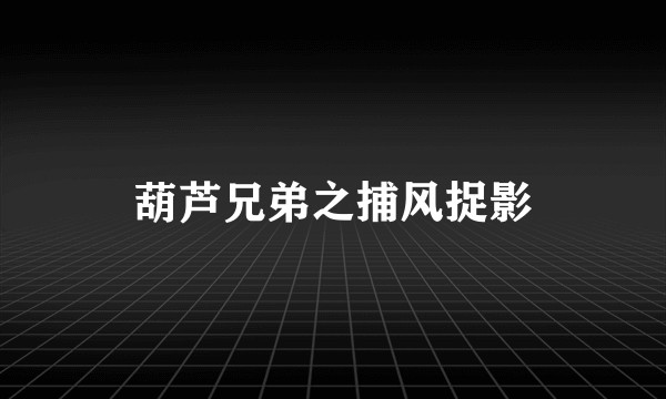 葫芦兄弟之捕风捉影