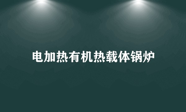 电加热有机热载体锅炉