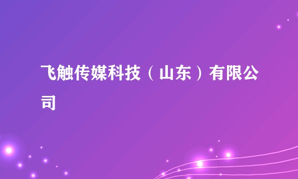 飞触传媒科技（山东）有限公司