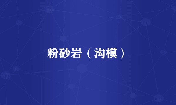 粉砂岩（沟模）
