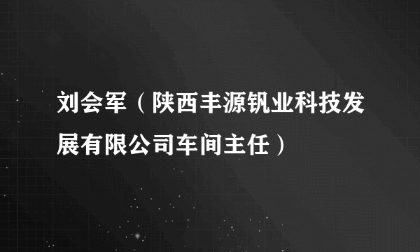 刘会军（陕西丰源钒业科技发展有限公司车间主任）
