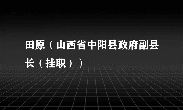 田原（山西省中阳县政府副县长（挂职））