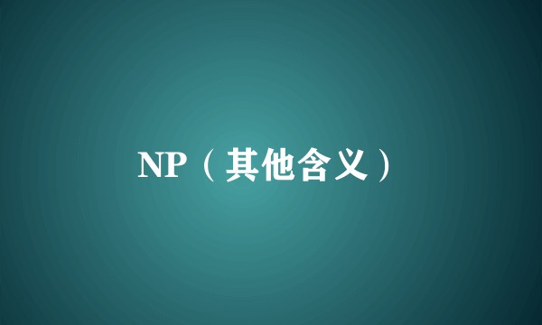 NP（其他含义）