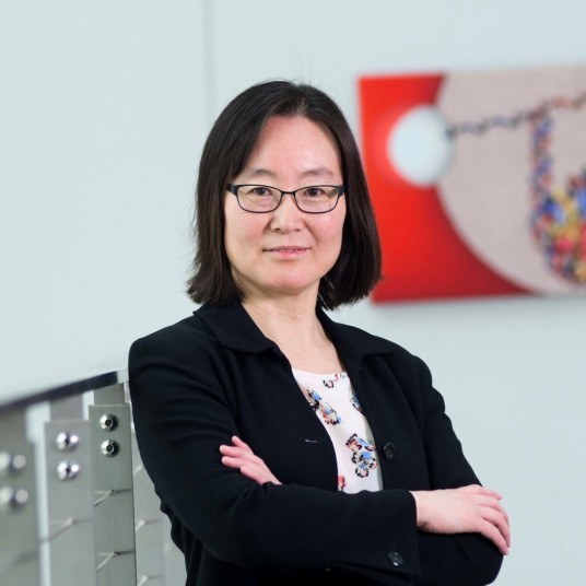 王冬(美国国家科学院院士,康奈尔大学教授,霍华德·休斯医学研究所研究员)