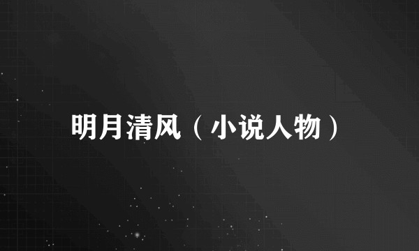 明月清风（小说人物）