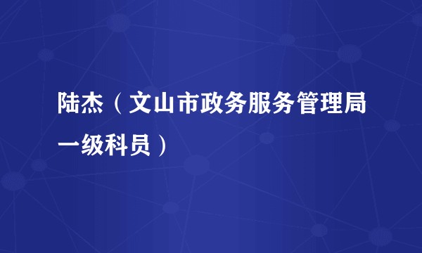 陆杰（文山市政务服务管理局一级科员）