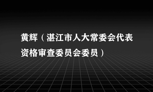 黄辉（湛江市人大常委会代表资格审查委员会委员）