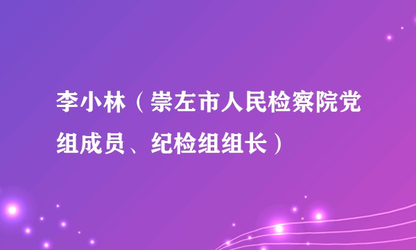 李小林（崇左市人民检察院党组成员、纪检组组长）