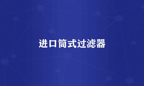 进口筒式过滤器