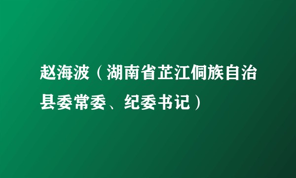 赵海波（湖南省芷江侗族自治县委常委、纪委书记）