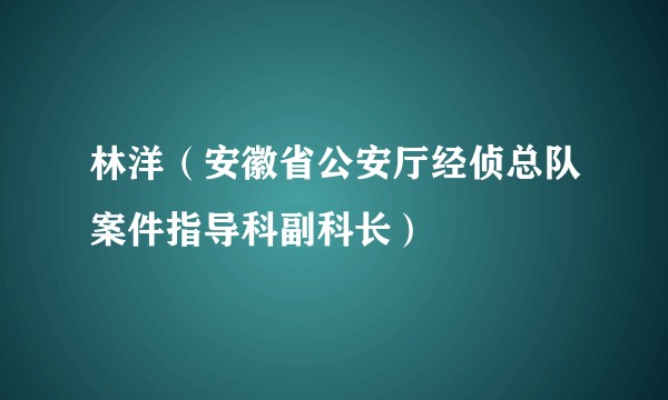 林洋（安徽省公安厅经侦总队案件指导科副科长）