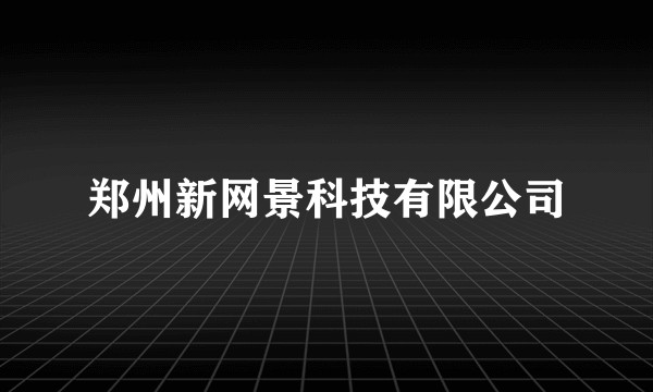 郑州新网景科技有限公司