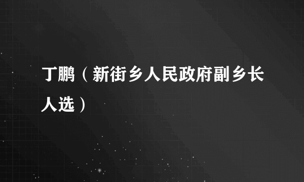 丁鹏（新街乡人民政府副乡长人选）