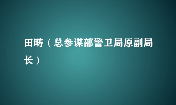 田畴（总参谋部警卫局原副局长）