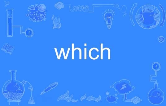 which（英语单词）