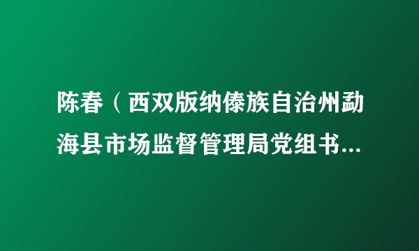陈春（西双版纳傣族自治州勐海县市场监督管理局党组书记、局长，综合行政执法队队长）