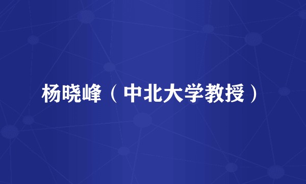 杨晓峰（中北大学教授）