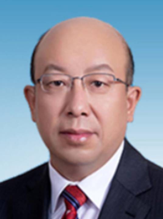 杨鹏(国家能源投资集团有限责任公司党组成员、副总经理)