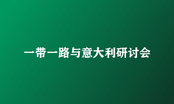 一带一路与意大利研讨会