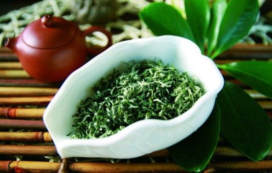 碧螺春(山茶目山茶科植物)