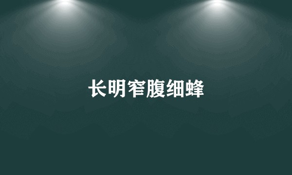 长明窄腹细蜂