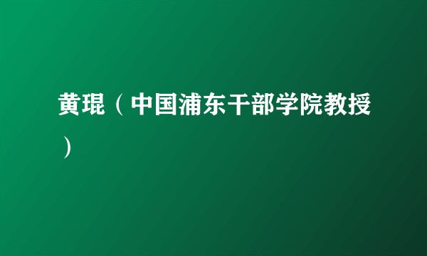 黄琨（中国浦东干部学院教授）
