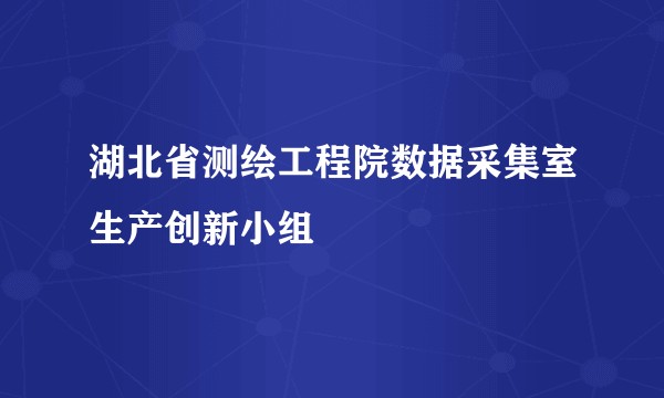 湖北省测绘工程院数据采集室生产创新小组