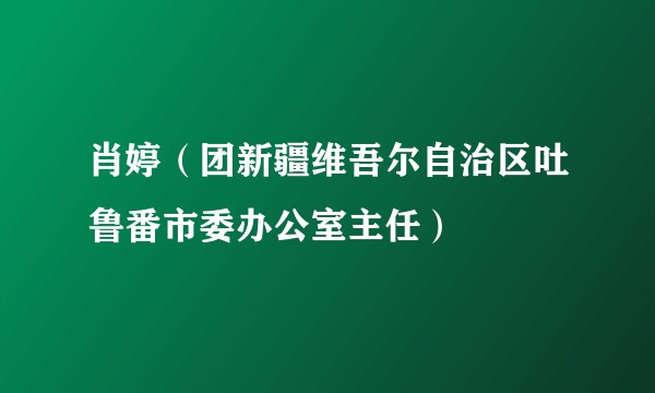 肖婷（团新疆维吾尔自治区吐鲁番市委办公室主任）
