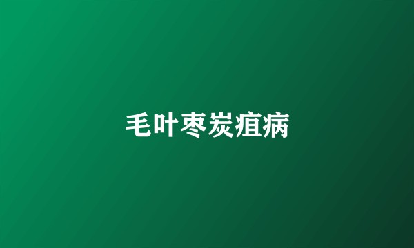 毛叶枣炭疽病