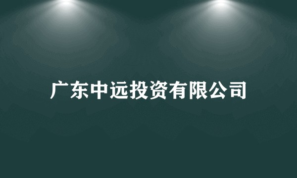 广东中远投资有限公司
