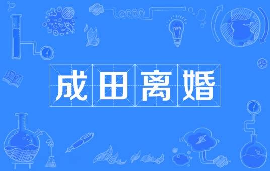 成田离婚（日本社会现象）