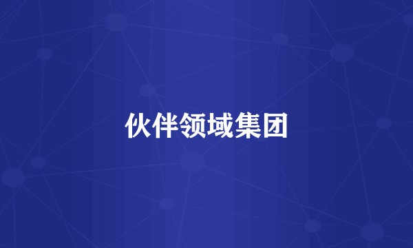 伙伴领域集团