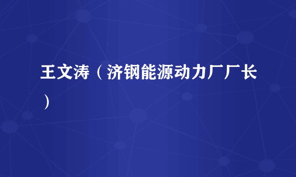 王文涛（济钢能源动力厂厂长）