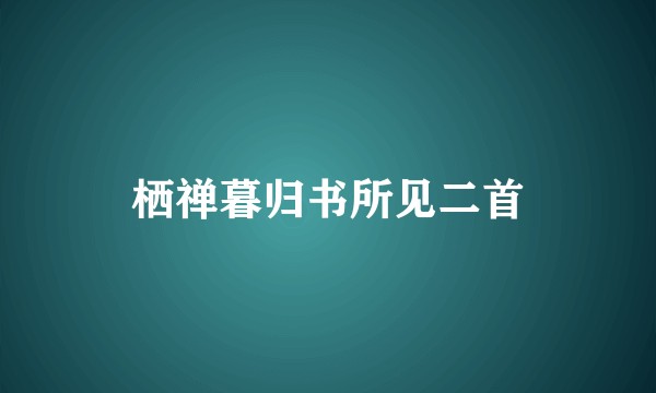 栖禅暮归书所见二首