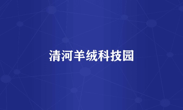 清河羊绒科技园