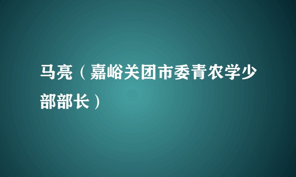 马亮（嘉峪关团市委青农学少部部长）