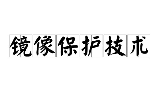 镜像保护技术