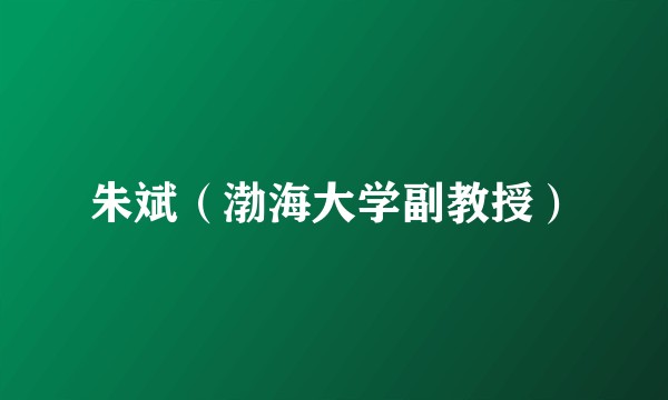 朱斌（渤海大学副教授）