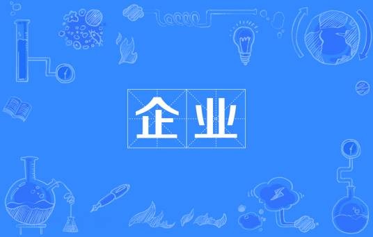 企业（经济学名词）