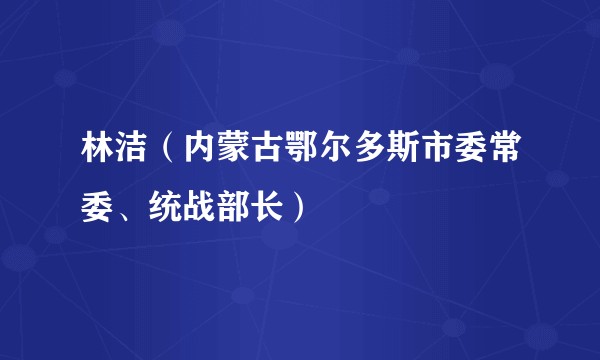 林洁（内蒙古鄂尔多斯市委常委、统战部长）