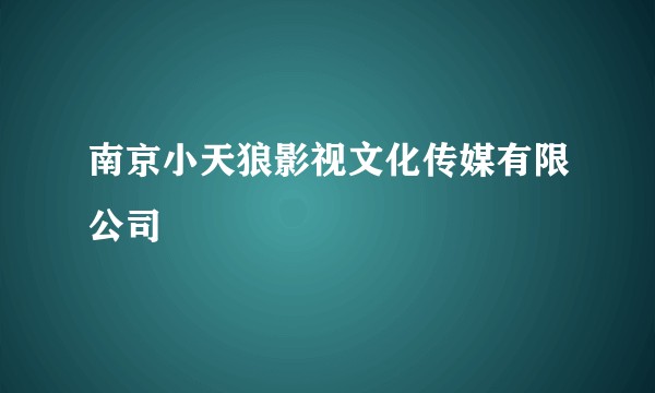 南京小天狼影视文化传媒有限公司