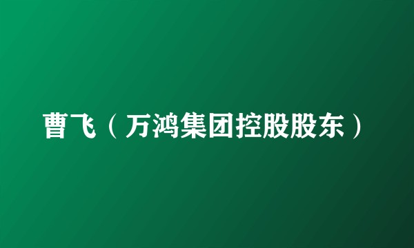 曹飞（万鸿集团控股股东）