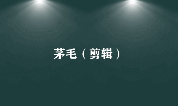 茅毛（剪辑）