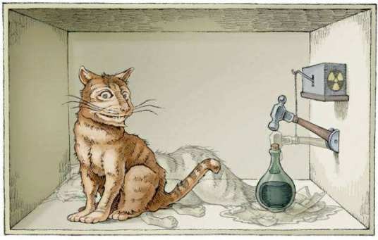 薛定谔的猫（量子力学思维实验）