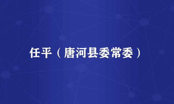 任平（唐河县委常委）